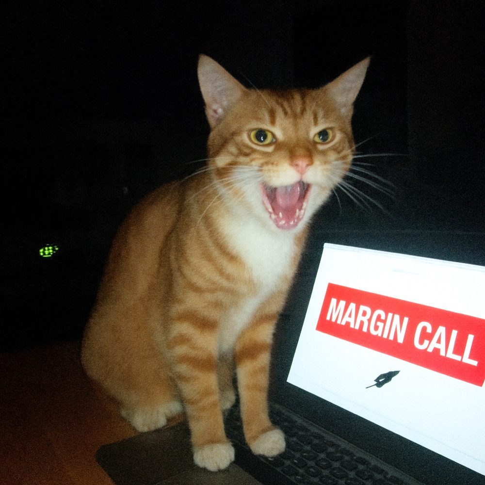 An orange cat sitting beside a laptop in a dark kitchen, mouth wide open, yowling at a screen that reads MARGIN CALL